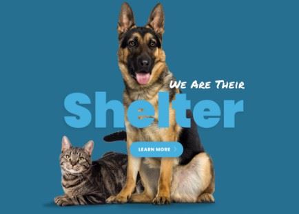 Shelter logo for spotlight 434 x 311