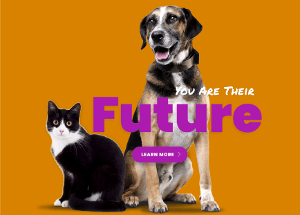 You Are Their Future (1)